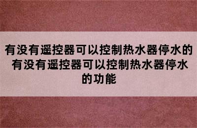 有没有遥控器可以控制热水器停水的 有没有遥控器可以控制热水器停水的功能